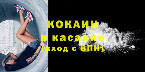 шишки Лабытнанги