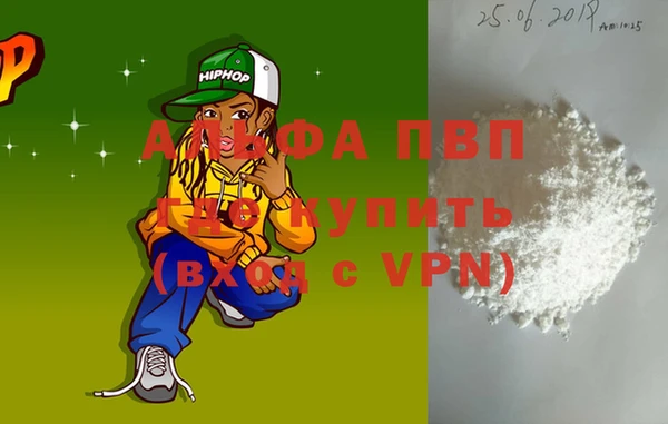 шишки Лабытнанги