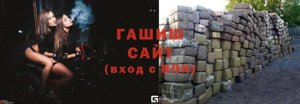 шишки Лабытнанги
