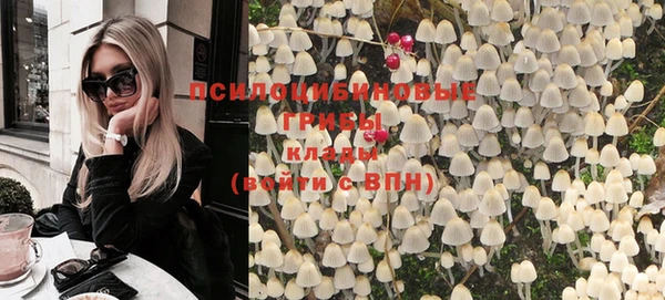шишки Лабытнанги