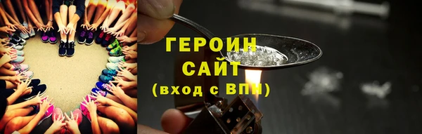 шишки Лабытнанги