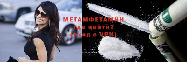 шишки Лабытнанги