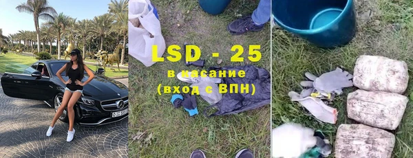 шишки Лабытнанги