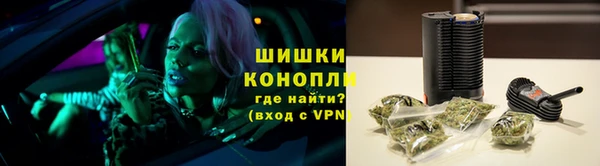 шишки Лабытнанги