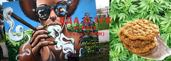 шишки Лабытнанги