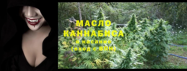 шишки Лабытнанги