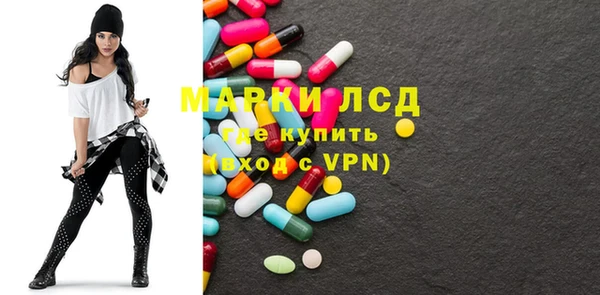 шишки Лабытнанги